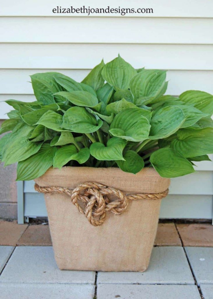 burlap planter