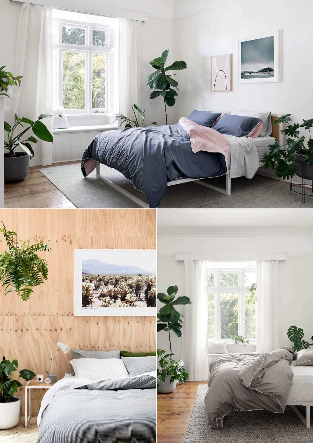 calming bedroom 