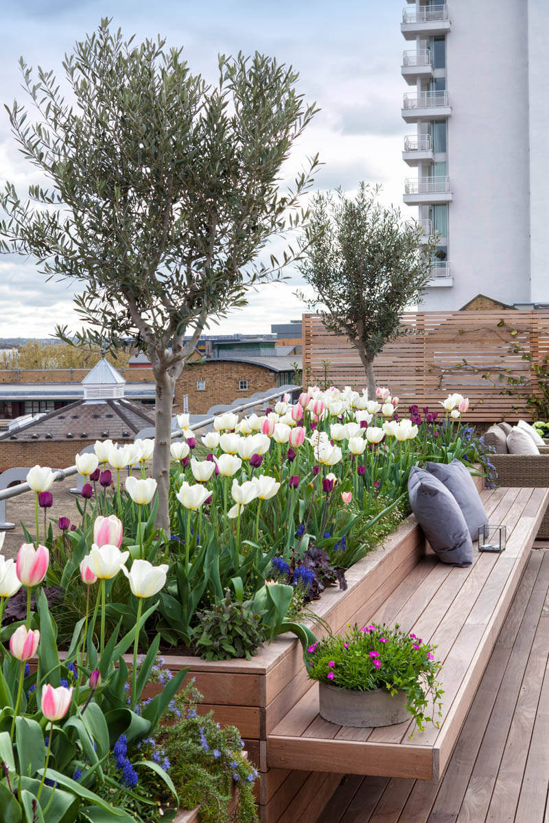 roof terrace ideas