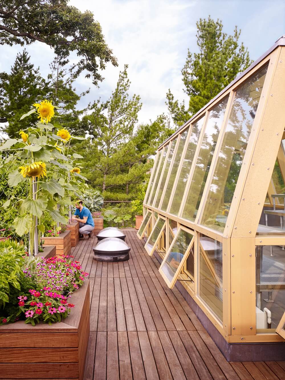 roof terrace ideas