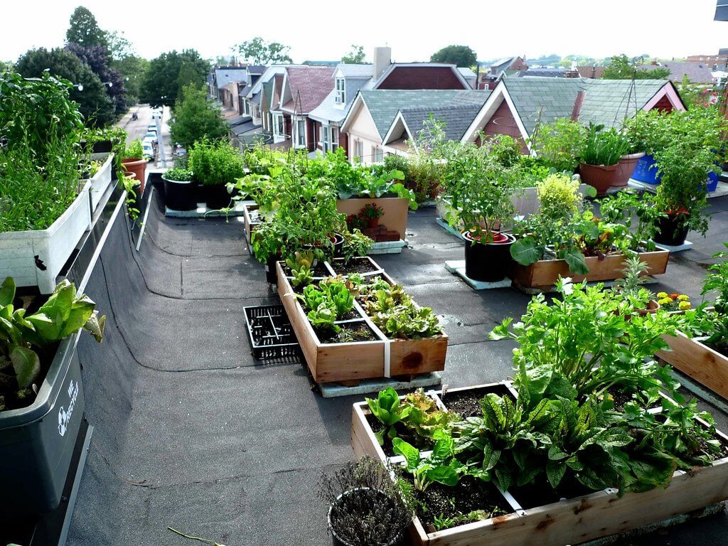 roof terrace ideas