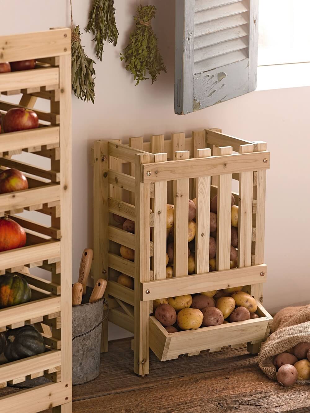 Best Food Storage Ideas 