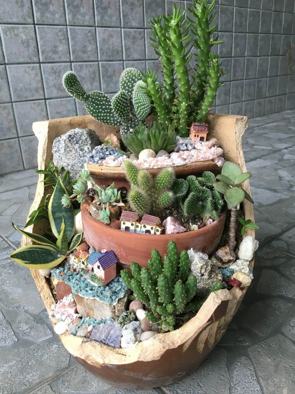 cactus garden