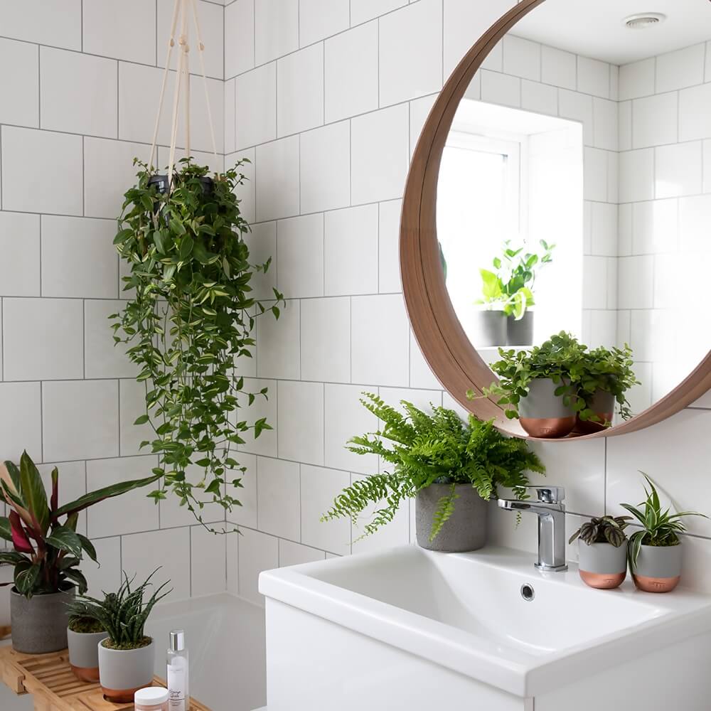 cozy bathroom features