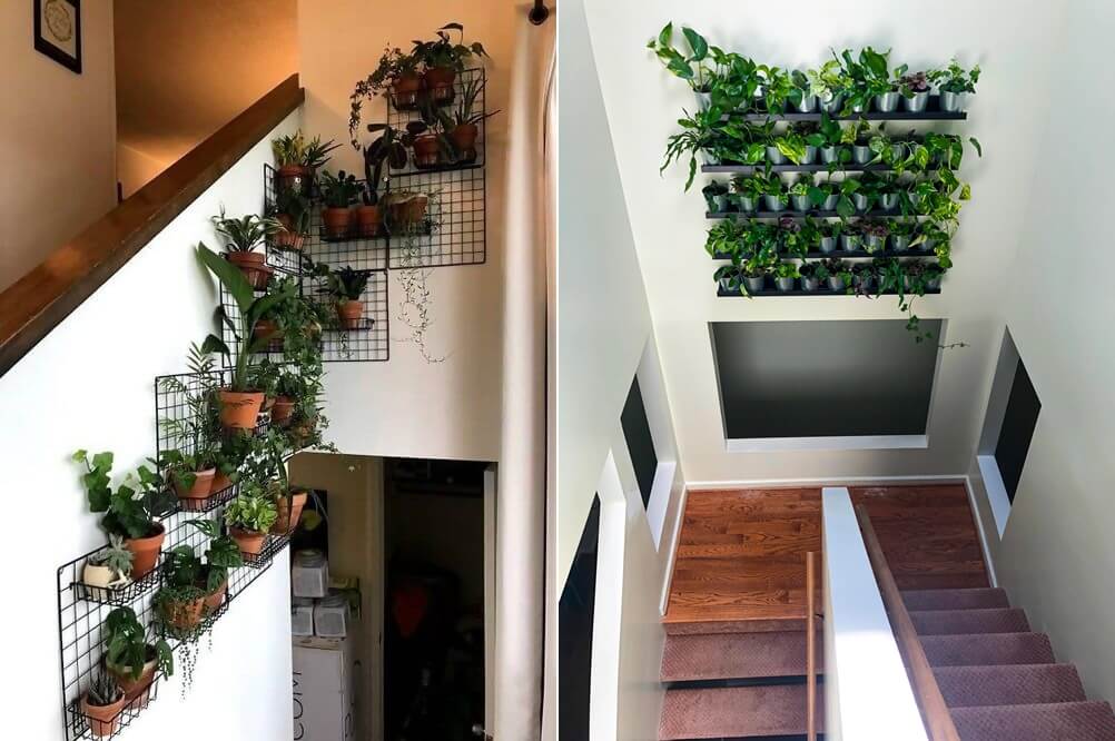 Indoor Plant Wall Ideas 