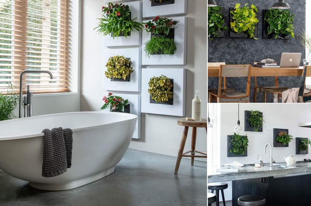 Indoor Plant Wall Ideas 