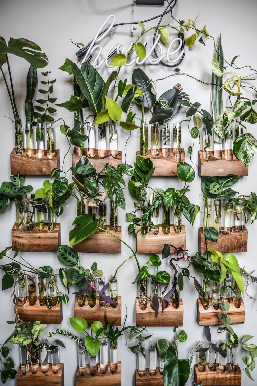 Indoor Plant Wall Ideas 