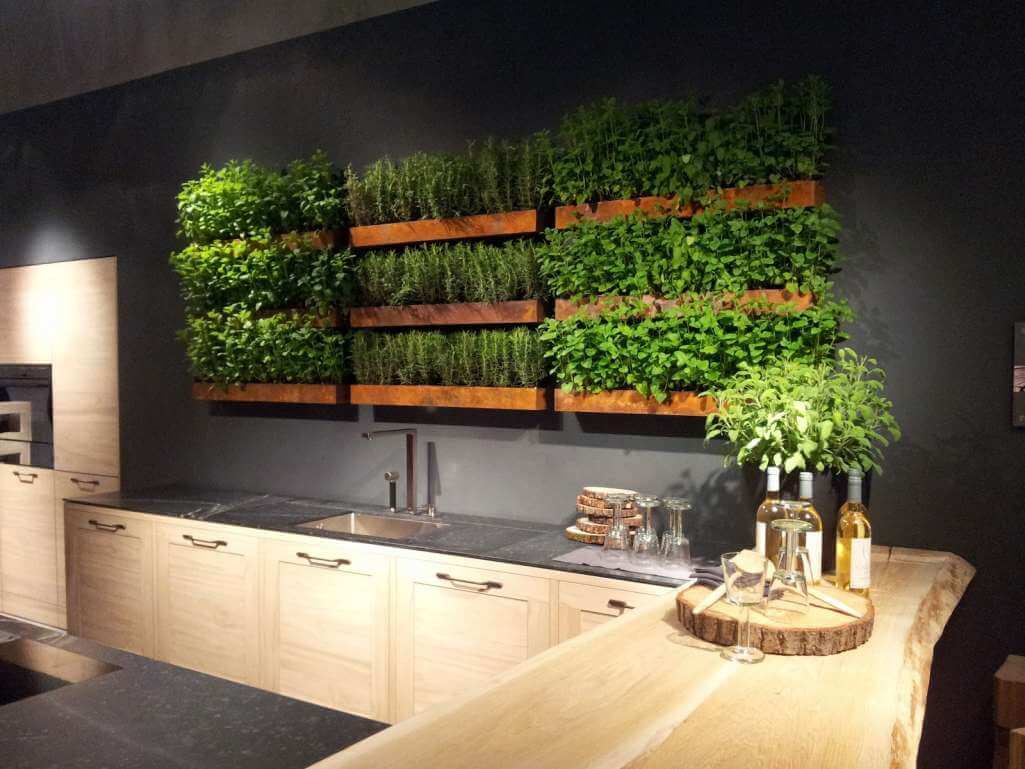 Indoor Plant Wall Ideas 