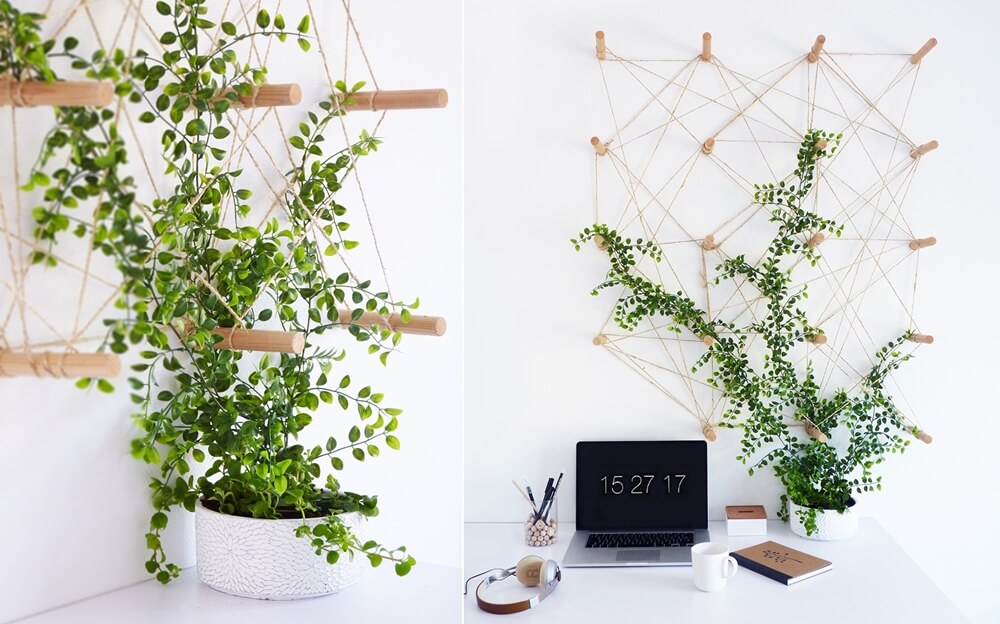 Indoor Plant Wall Ideas 