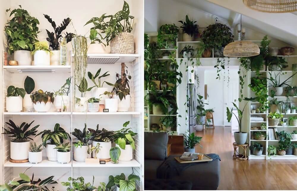 Indoor Plant Wall Ideas 