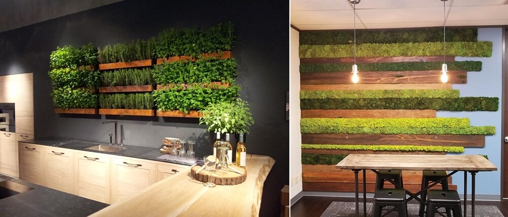 Indoor Plant Wall Ideas 