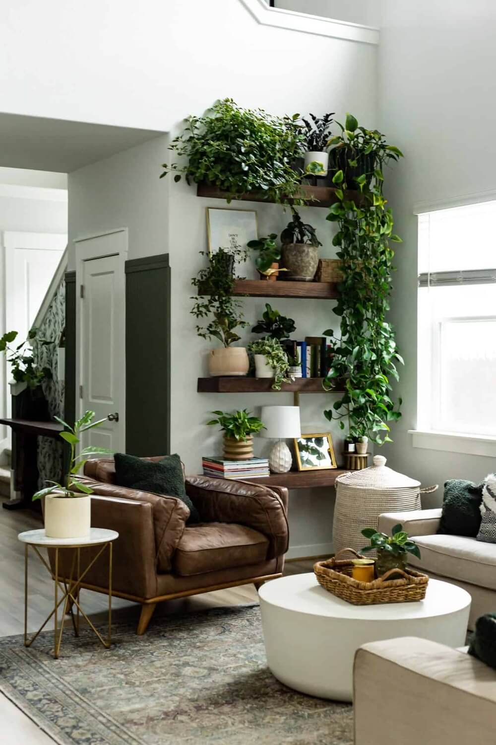 Ideas to Decorate with Indoor Ivies 