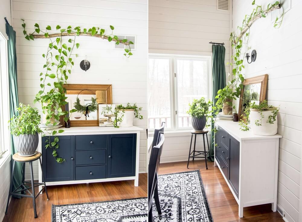 Ideas to Decorate with Indoor Ivies 