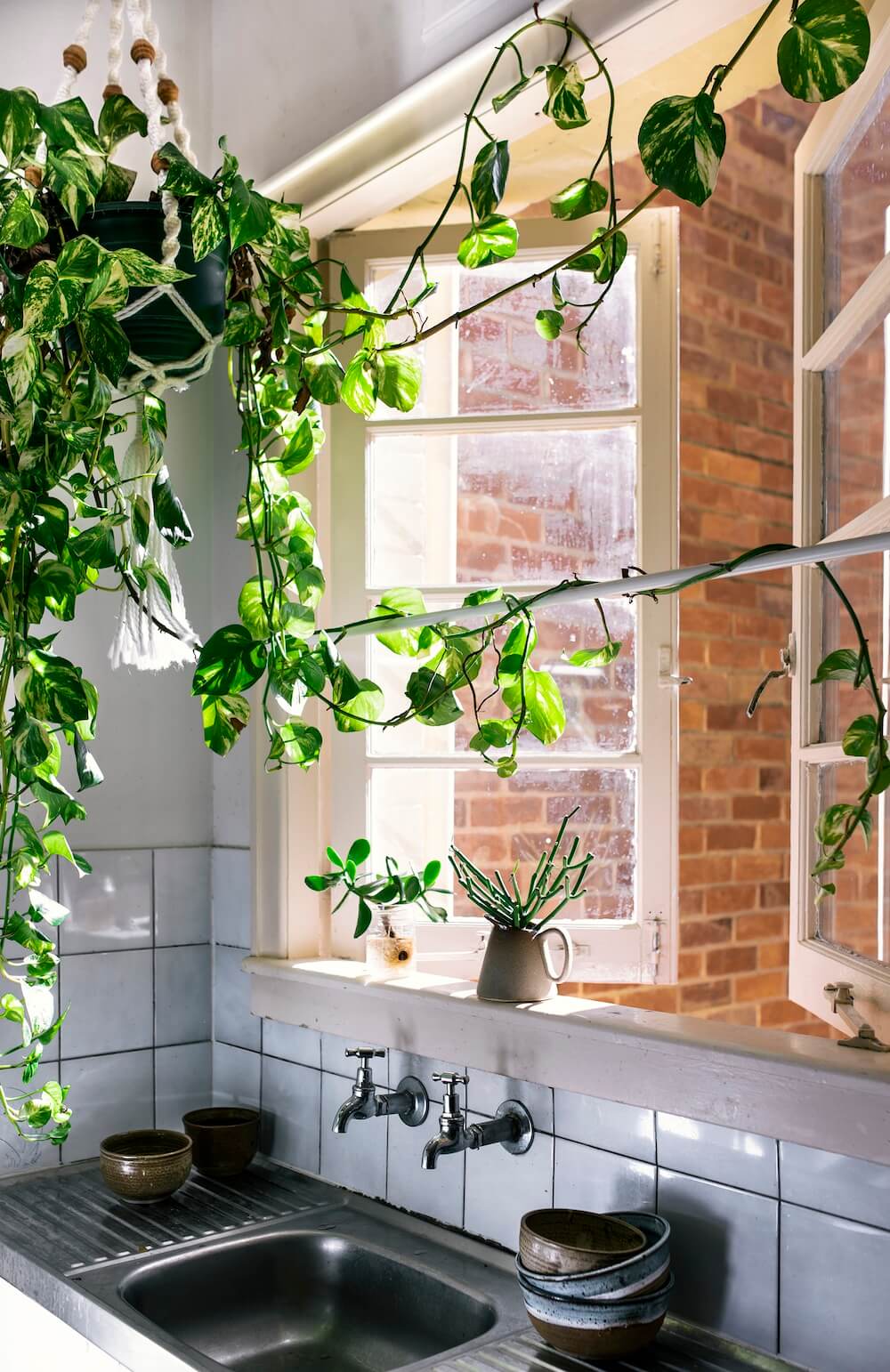 Ideas to Decorate with Indoor Ivies 