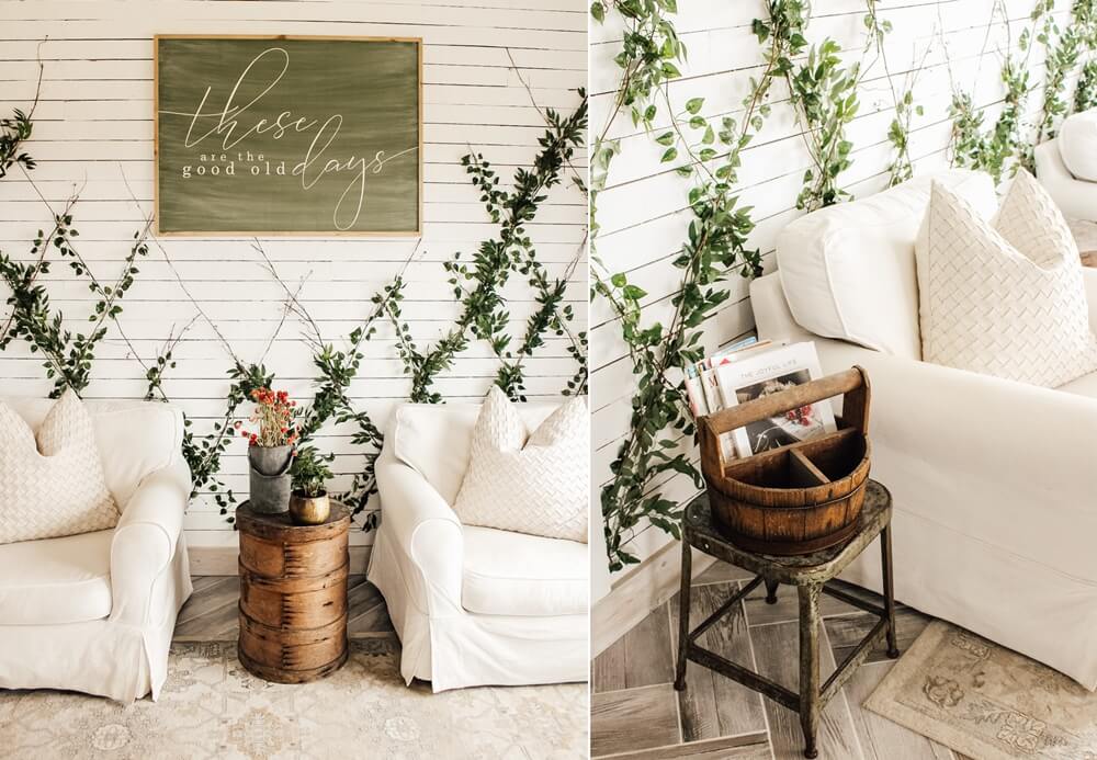 Ideas to Decorate with Indoor Ivies 