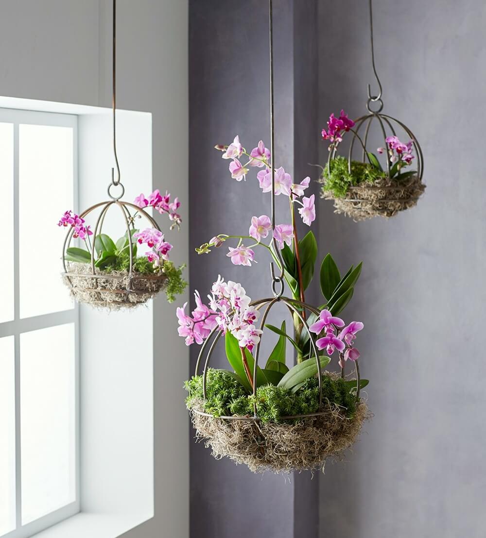 15 Best Houseplant Containers