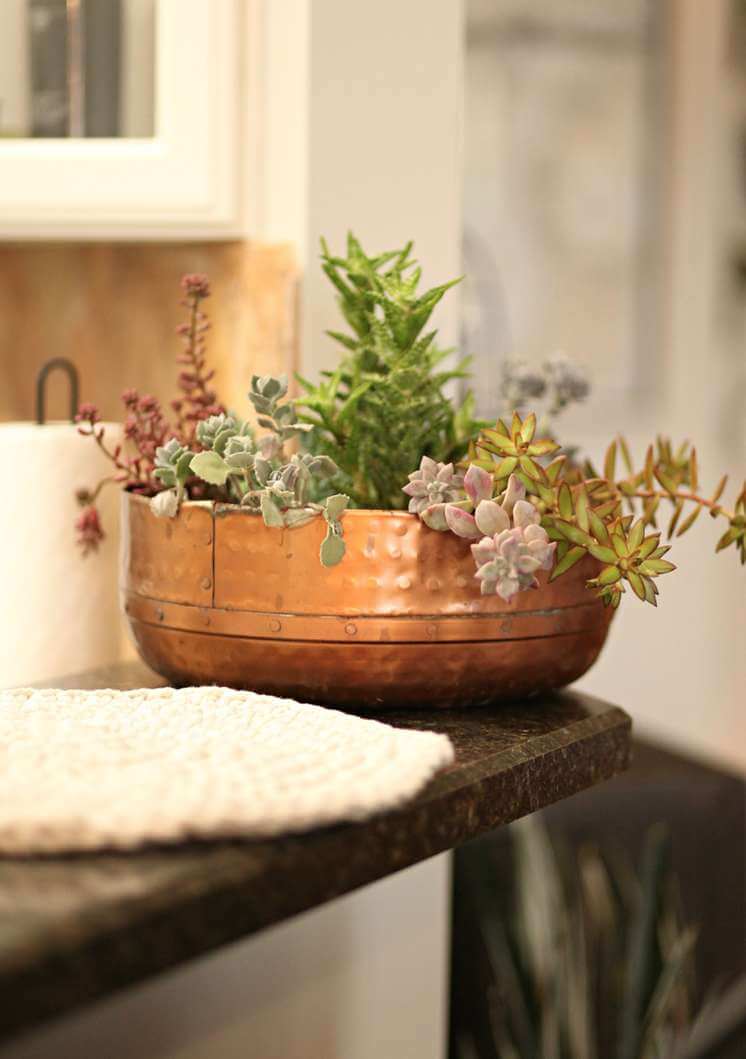 15 Best Houseplant Containers