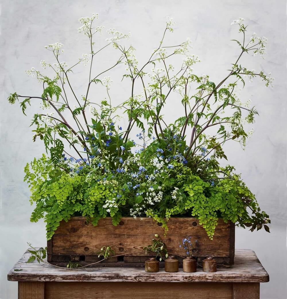 15 Best Houseplant Containers