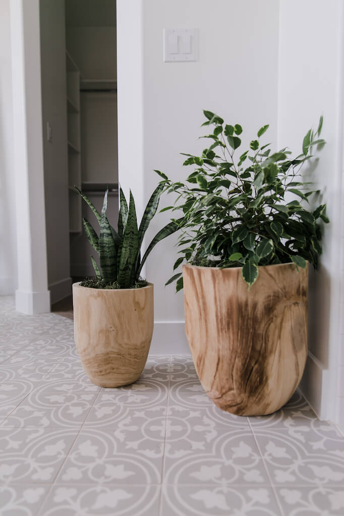15 Best Houseplant Containers