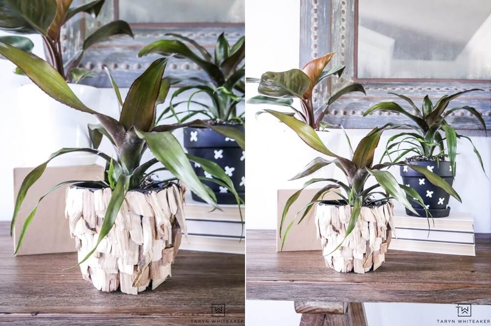 15 Best Houseplant Containers