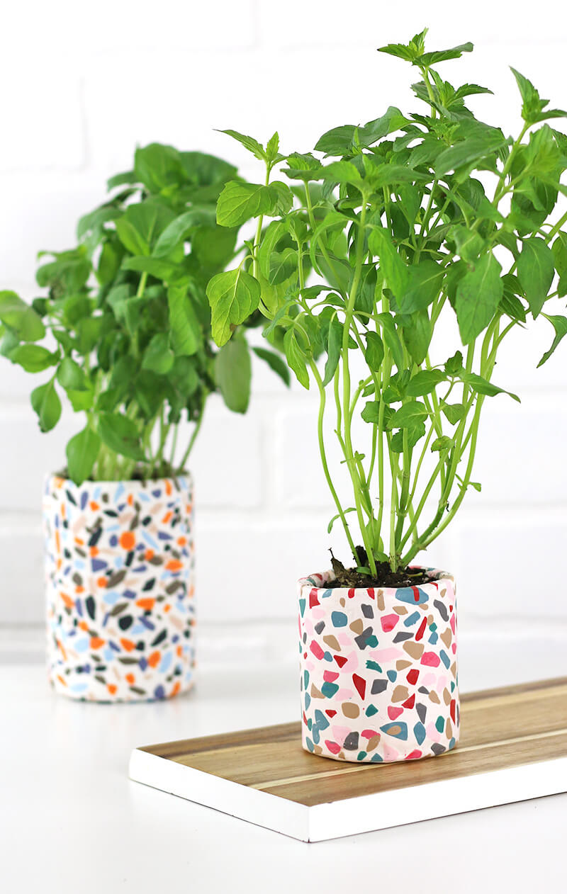 15 Best Houseplant Containers