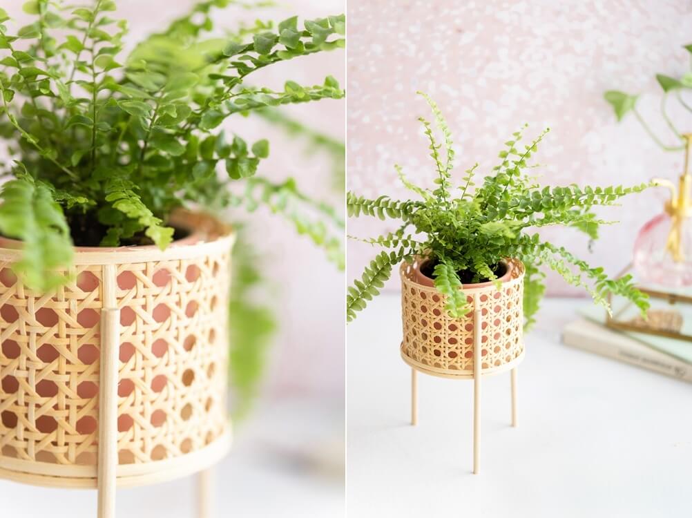 Cane Webbing DIY Decor Projects 