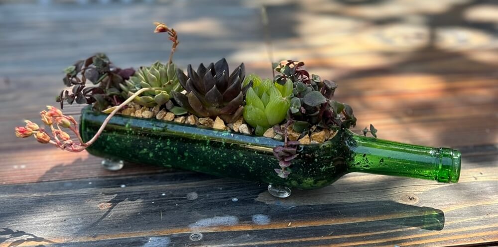 Wine Bottle Outdoor Projects