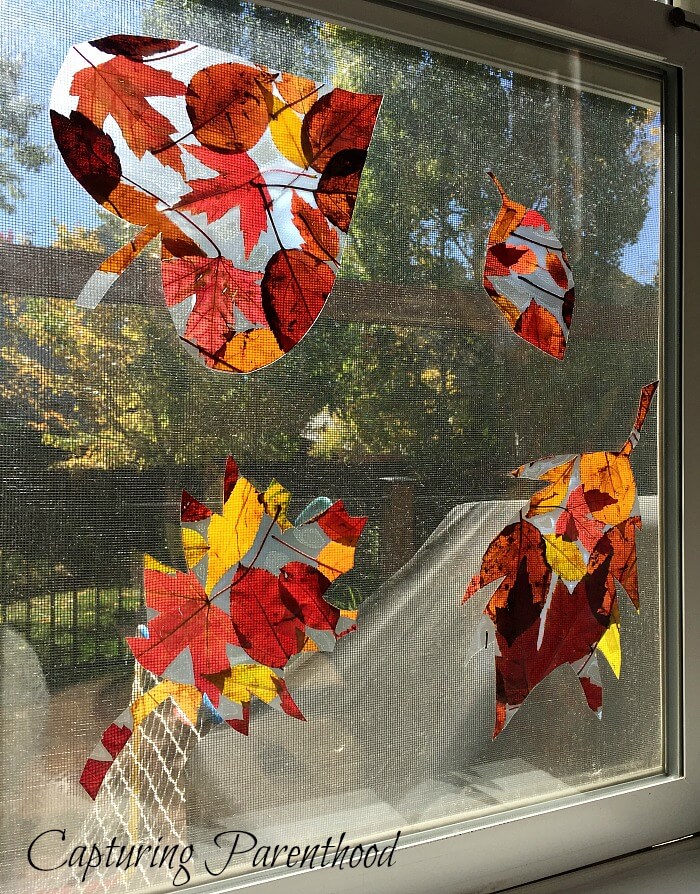 Autumn Leaf Crafts 