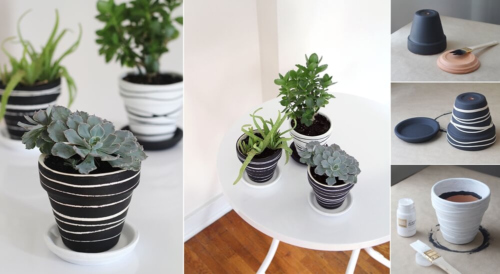 Black and white succulent pots