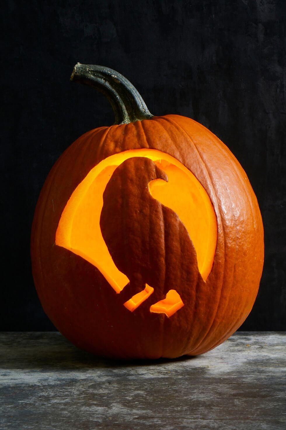 Raven Pumpkin