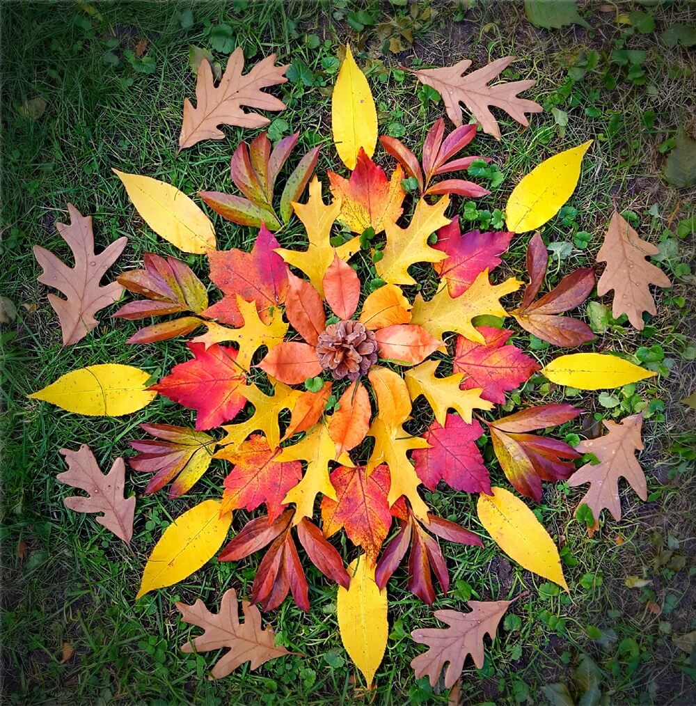 Autumn Leaf Crafts 