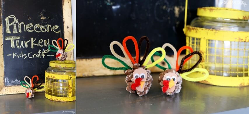 Pipe Cleaner Turkey