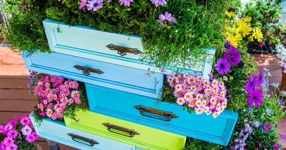 dresser drawer planter