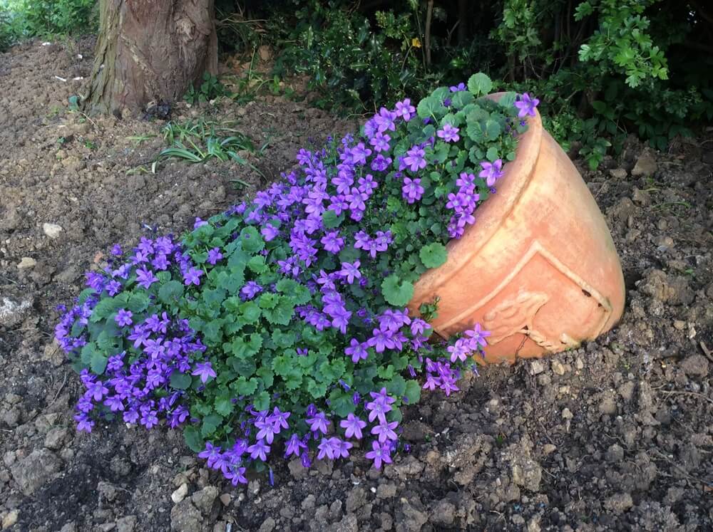 spilling flower planter