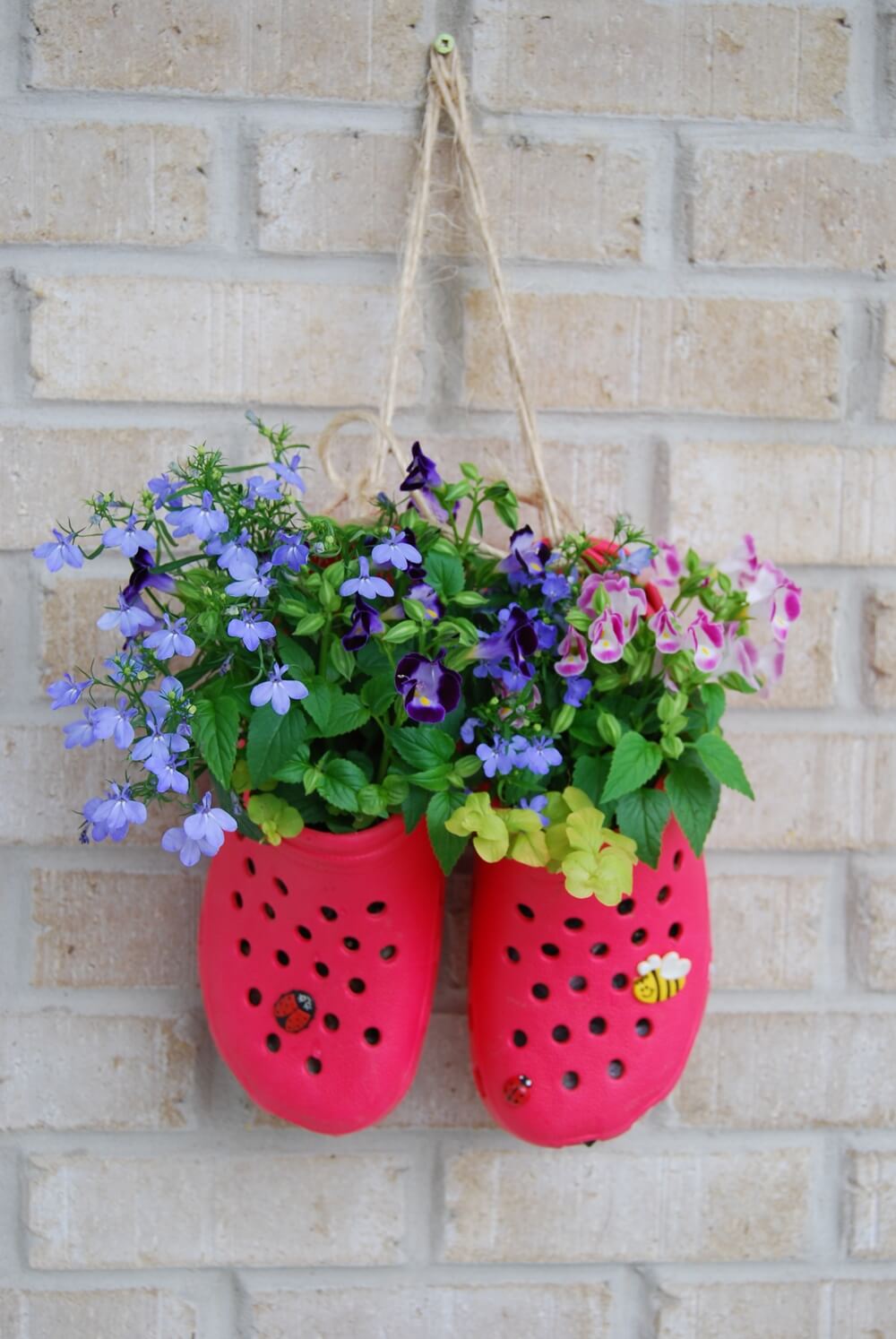 Croc Flower Planters