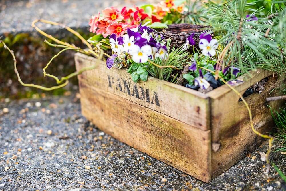 Flowers in a Wooden Crate