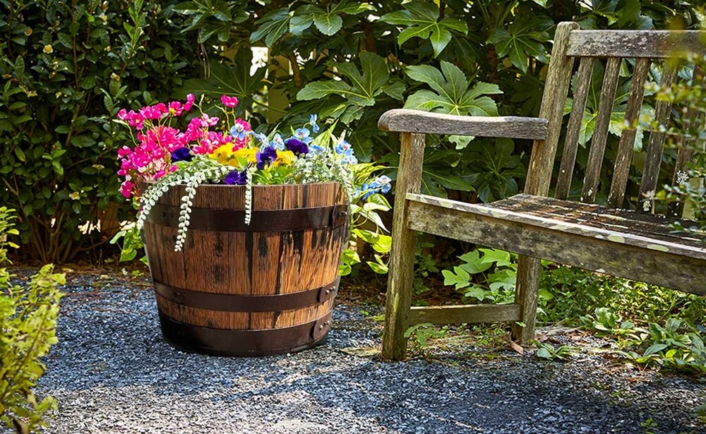 Whiskey Barrel flowers