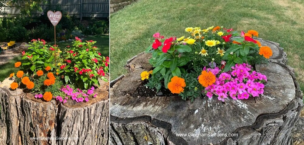 A Tree Stump Planter