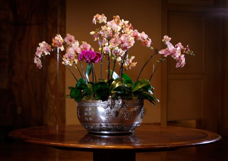 floral_01