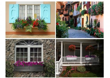 Window-Flower-Boxes-Collection