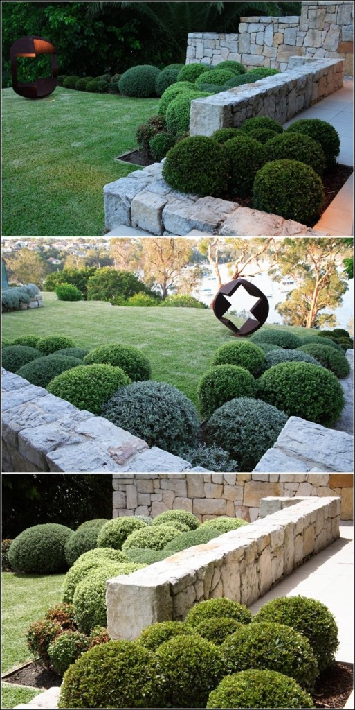 Ways in which You can Grow Hedges in Your Garden