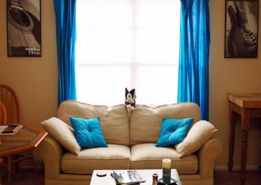 The-interior-design-is-superb-living-room-with-curtains-and-cushions-bright-blue