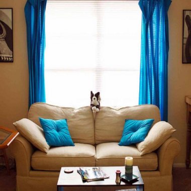 The-interior-design-is-superb-living-room-with-curtains-and-cushions-bright-blue