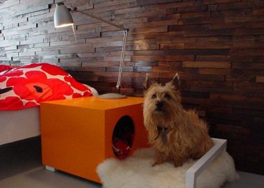 furniture-design-for-pet-lovers-12