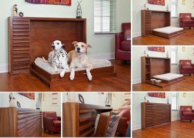 Murphys-Paw-Design