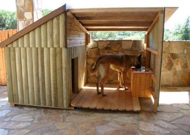 Dog House