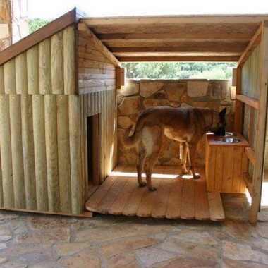 Dog House