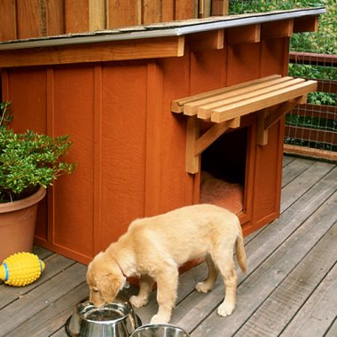 Mini Ranch Dog House