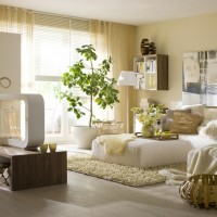 11 Ideas to Add Nature Inspiration to Your Living Room