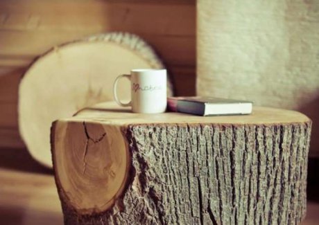 Rustic Wood Log as a coffee table